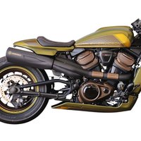 Kesstech 2-1 Harley Davidson RH 1250 S ABS Sportster S Ref:AHDSP210S00 Silikon Sanitarny