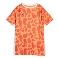 puma-teamliga-multisport-short-sleeve-t-shirt