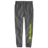 carhartt-midweight-tapered-graphic-hose