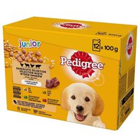Pedigree Junior Auswahlmischung 12x100g Nass Hund Essen