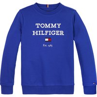 tommy-hilfiger-sweatshirt-kb0kb08713