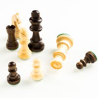 Fournier Staunton Chess Nº 4 Board Game