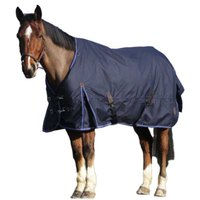 equitheme-classic-1200d-0g-turnout-rug
