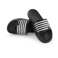 seac-zebra-slides