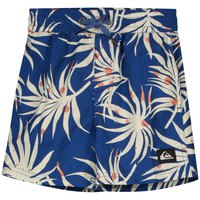 quiksilver-mix-vly-12-zwemshorts