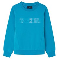 hackett-essential-sp-jugend-sweatshirt