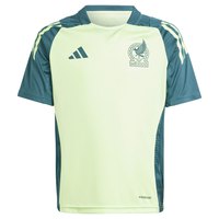 adidas-mexico-23-24-tiro-junior-short-sleeve-t-shirt-training