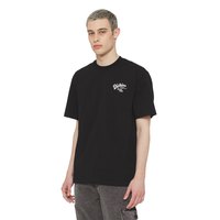 dickies-camiseta-de-manga-curta-raven