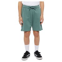 Dickies Youth Mapleton sweat shorts
