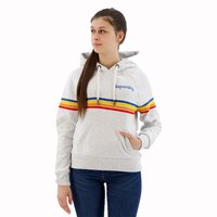 superdry-rainbow-logo-hoodie