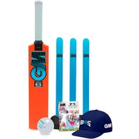 gunn-and-moore-diamond-bs55-cricket-set