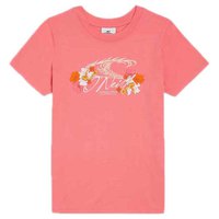 oneill-t-shirt-a-manches-courtes-sefa-graphic