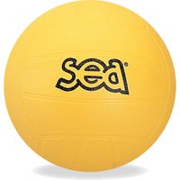 sea-beginner-volleyball-ball