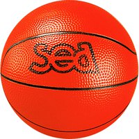 sea-palla-pallacanestro-discovery