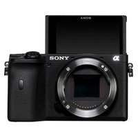 sony-alpha-6600-body-camera