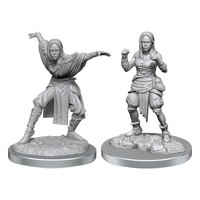 wizkids-figura-pathfinder-battles-deep-cuts-2-unidadess-half-elf-monk-female-umkarton