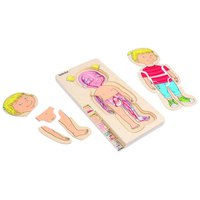 beleduc-5-in-1-female-anatomy-29-pieces-puzzle