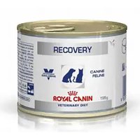 Royal Vet Recovery Box 195g Dog Snack 12 Units