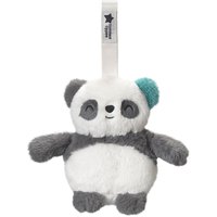 Tommee tippee Pip Panda Teddy