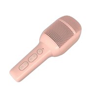 Celly KIDSFESTIVAL2PK wireless microphone