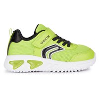 geox-assister-trainers