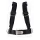 Dive rite Basic Harness System With Backplate