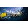 Finis Foil モノフィン