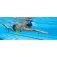 Finis Hydro Hip Jurk