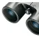 Bushnell Binóculos 10x42 Powerview 2008