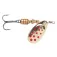 Evia Dotty Mod 11 3 Spoon Lure 7g