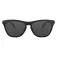 Oakley Frogskins solglasögon