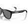 Oakley Frogskins solbriller