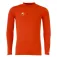Uhlsport Distinction Colors langarm-baselayer
