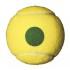 Wilson Tennisbolde Starter Play