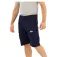 Helly hansen Jotun QD 工装短裤