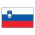 Lalizas Slovenian Flag