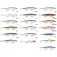 Rapala MaxRap Long Range Sinking minnow 20g 120 mm