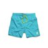 Protest Culture 15 Swimming Shorts