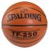 Spalding Bold Basketball TF250 All Surface