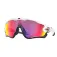 Oakley Jawbreaker Prizm Road sunglasses