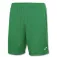 Joma Nobel shorts