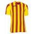 Joma Copa T-shirt med korta ärmar