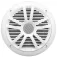 Boss audio MR6W Speaker