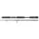 Seika Ardens jigging rod