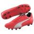 Puma Evospeed 4.4 AG Football Boots