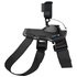 GoPro Support Fetch Dog Harness