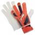 Puma Evopower Grip 4 Goalkeeper Gloves