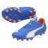 Puma Evospeed 5.4 AG D Football Boots