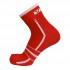 Bicycle Line Chaussettes Falco