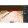 Lowrance 带模块的 Structurescan 3D